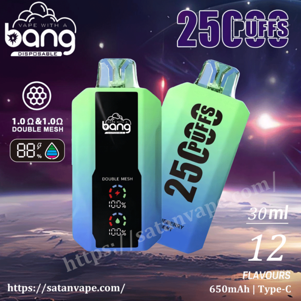 Vape Wholesale and retail Bang 25000 Puffs 0% 2% 3% 5% Bulk Buy Newest LED Display Portable Rechargeable Disposable Vape Double Mesh Coil Cloud Chasing Pen